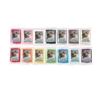 BrandNewCake® Rolfondant Assortiment 14 Couleurs (14x250g) - Fondant Vanille Prêt à l'Emploi pour Décoration de Gâteaux et Pâtisseries