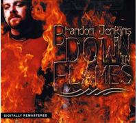 Brandon Jenkins - Down in Flames