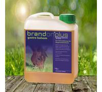 Brandon® plus baume gastro - 2,5 litres