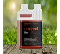 Brandon plus leogard - 1 litre