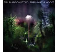 EMIL TRIO BRANDQVIST - ENTERING THE WOODS (LTD/180GR/BLACK) VINYL LP NEUF