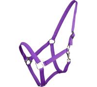 Brands of Q Licol avec Boucle Coulissante Passion Flower - Mini-Shetty