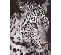 Brandsseller Couverture douillette motif animal - 150 x 200 cm - Motif léopard des neiges