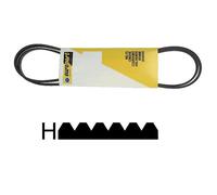 Courroie 1951 H6 Poly V Ref: 9615214