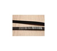 BRANDT - COURROIE SECHE LINGE POLY V 1956H7