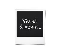 Brandt TI1SLIM - Plaque chauffante à induction - 2 kWatt - noir