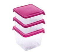 Branq Food Containers Arugula 3pcs - square