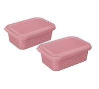 BranQ Home essential Lot de 2 boîtes de conservation ORI en plastique sans BPA Rose