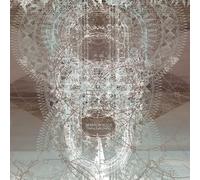 Branson Hollis - Diving Suits Drying