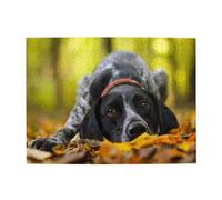 Braque Allemand à Poil Court - Automne - Animaux de Compagnie - Chiens - Puzzle en Bois de 500 pièces pour Adultes et Personnes âgées