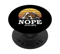 Braque Allemand Sunset PopSockets PopGrip Interchangeable