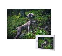 Braque de Weimar Chiens Animaux Chiens Gris Chiens, Puzzle 1000 pièces en Bois pour Adultes et Adolescents, Jeu Familial, décoration Murale