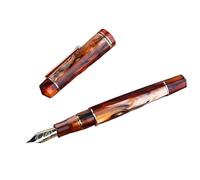 BRART Stylo-plume en résine colorée dorée avec pointe F de 0,5 mm pour écrire, bureau, école, papeterie, cadeau (D)