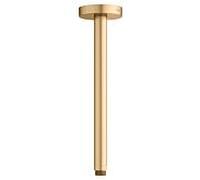 Bras de douche KEUCO Universal 51689250300 saillie 300 mm, laiton brossé, raccordement au plafond, rosace ronde
