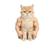 Bras Musclés De Chat Costume Cosplay Drôle Imprimé En 3D | Costume De Bras De Chien Pour Garçons Filles Jeunes Ados Fête Vacances Extérieur Nuit Hiver