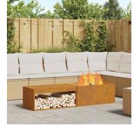 Brasero d'extérieur - vidaXL - Acier - Marron - 160 x 45 x 35 cm