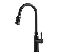 Brass Pull-Out Kitchen Faucet with Hot and Cold Water Shower, Swivel, Brushed