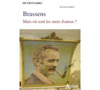 Brassens, mais où sont les mots d'antan ?