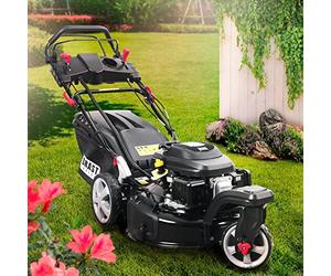 BRAST tondeuse thermique 3 roues TRIKE E-START 224cc 53cm tractée démarrage électrique mulching 4en1 capot en tôle en acier 60l - moteur 4 temps de la marque française GT reglable