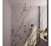 Brauer Brushed Edition Ensemble de douche encastrable - pomme de douche 20cm - 3 boutons - bras plafond - partie encastrable - douchette ronde 3 jets - PVD - inox brossé 5-NG-029