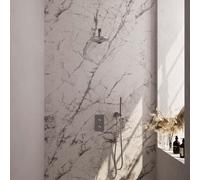 Brauer Brushed Edition Ensemble de douche pluie encastré - douche principale 20cm - bouton lisse - douchette à main 1 fonction - PVD - inox brossé 5-NG-052