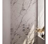 Brauer Brushed Edition Ensemble de douche pluie encastré - douche principale 20cm - bras mural - avec partie encastrable - corps lisse - douchette à main 1 fonction - PVD - inox brossé 5-NG-074