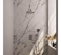 Brauer Brushed Edition Ensemble de douche pluie encastré - douche principale 30cm - bouton lisse - douchette ronde 3 positions - PVD - inox brossé 5-NG-059