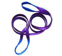 Braun 10032HB Sangle de traction avec boucles renforcées charge maximale 1000 kg Violet 2 m