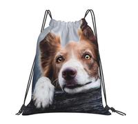 Brauner Border Collie Bokeh-Gott mit gelben Augen, wasserabweisender Rucksack mit Kordelzug, für Damen und Herren, Sport- und Fitnessstudio-Sackpack