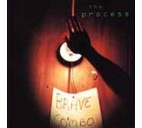 Brave Combo - Process
