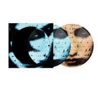 Brave Picture Disc Vinyle