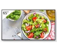 Bravia Professional Displays FW-65BZ35L - Classe de diagonale 65" BZ35L Series écran LCD rétro-éclairé par LED - signalisation numérique - Android TV