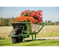 Bravo - Brouette électrique Polyvalente - Cuve de 100l en Zinc