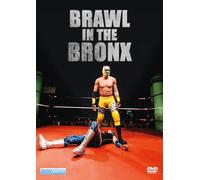Brawl in The Bronx