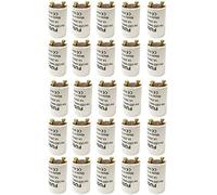 Braytron LED Démarreur Starterbrücke Factice Conversion Starterbrück Tube de Rechange/Tube Néon Pontage Compatible avec T8 G13 Tube 25x