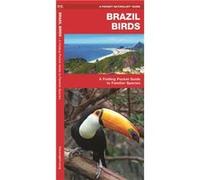 Brazil Birds A Folding Pocket Guide to Familiar Species by James Kavanagh James Kavanagh (Auteur)