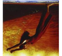 Brazil Classics 1: Beleza Tropical by VARIOUS ARTISTS (2003-10-21)