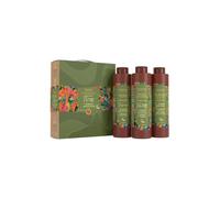 Brazilian Secrets hair - Força da Amazonia - Coffret LISSAGE À LA PROTÉINE 3x1L