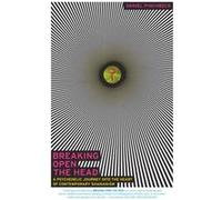 Breaking Open the Head A Psychedelic Journey into the Heart of Contemporary Shamanism by Daniel Pinchbeck Daniel Pinchbeck (Auteur)