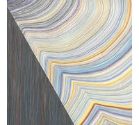 ブレイキング・ザ・シェル / ビル・フリゼール、キット・ダウンズ、アンドリュー・シリル (Breaking the Shell / Bill Frisell, Kit Downes, Andrew Cyrille) [CD] [Import] [日本語帯・解説付]