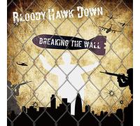 Breaking the Wall [Import allemand]