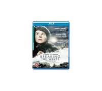 Breaking The Waves