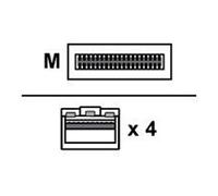 Breakout - Câble d'attache direct 100GBase-CU - QSFP28 pour SFP28 - 3 m - pour ThinkSystem NE10032, NE2572, NE2580O; ThinkSystem SD630 V2; SR250