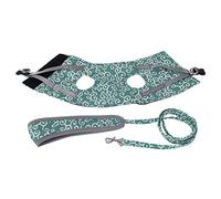 Breathable Pet Leash Vest | Escape Proof Cat Harness for Small Dogs | No Pull Walking Vest with 4 - Point Secure | Adjustable Nylon Buckle, Metal D - Ring (S)