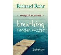 Breathing Under Water Companion Journal: Spirituality And The Twelve Steps (Stationery) Richard Rohr, (Auteur)