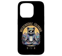 Breckenridge Colorado Abstrait Ours Chill Zen Yoga Design Coque pour iPhone 15 Pro