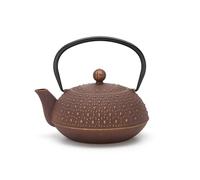 Bredemeijer Petite théière en fonte - 0,9 l - Induction - Verseuse asiatique violette avec anse et filtre à thé en acier inoxydable - Idéale pour les thés en vrac