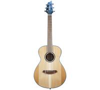 Breedlove Breedlove Discovery S Companion
