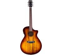Breedlove Breedlove Pursuit Ex. S Drdn Conc CE TE