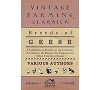 Breeds Of Geese - A Collection Of Articles On The Domestic, The Chinese, The Roman, The Toulouse And Other Varieties Of Geese